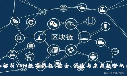 全面解析YSM数字钱包：安全、便捷与未来趋势的结合