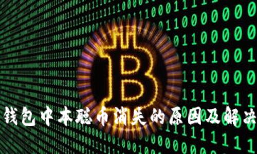 小狐钱包中本聪币消失的原因及解决方案