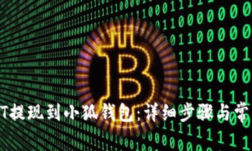 如何将USDT提现到小狐钱包：详细步骤与常见问题解答