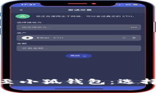 如何在币安将资金转出至小狐钱包：选择合适的链路与详细步骤