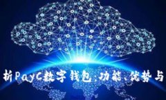 全面解析PayC数字钱包：功