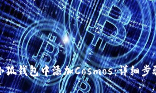 如何在小狐钱包中添加Cosmos：详细步骤与技巧