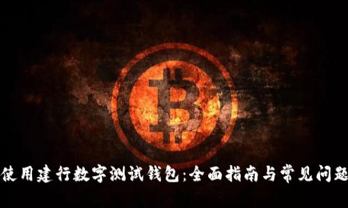 如何使用建行数字测试钱包：全面指南与常见问题解答
