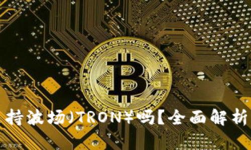 小狐钱包支持波场（TRON）吗？全面解析与使用指南