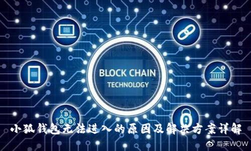 小狐钱包无法进入的原因及解决方案详解