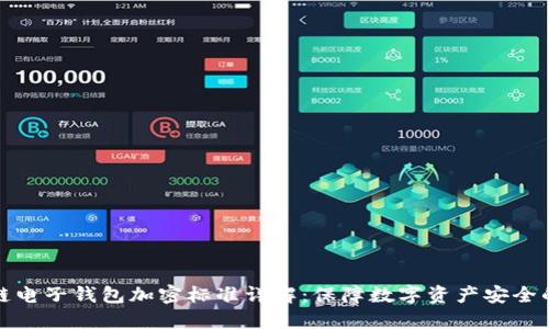 区块链电子钱包加密标准详解：保障数字资产安全的关键