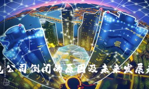 数字钱包公司倒闭的原因及未来发展趋势分析