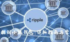 如何将BNB提到小狐钱包：详细指南与常见问题解
