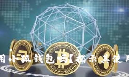 大陆用户可以使用小狐钱包吗？揭示其使用条件与特色优势