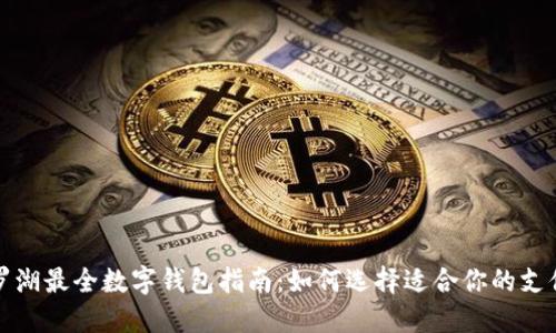 深圳罗湖最全数字钱包指南：如何选择适合你的支付工具