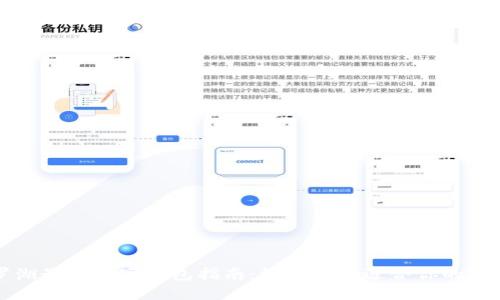 深圳罗湖最全数字钱包指南：如何选择适合你的支付工具