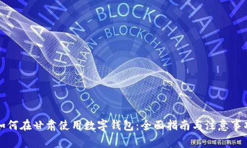 如何在甘肃使用数字钱包：全面指南与注意事项