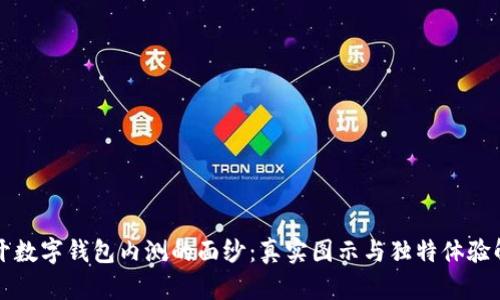 揭开数字钱包内测的面纱：真实图示与独特体验解析