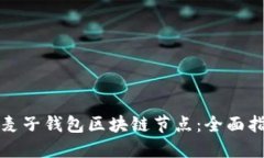 如何快速搭建麦子钱包区块链节点：全面指南与