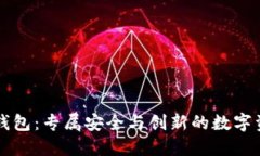区块链团队定制钱包：专属安全与创新的数字资