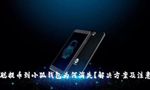 中本聪提币到小狐钱包为何消失？解决方案及注意事项