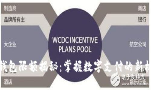 企业数字钱包限额揭秘：掌握数字支付的新机会与挑战