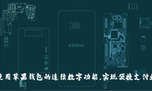 如何使用苹果钱包的连续数字功能，实现便捷支付和管理