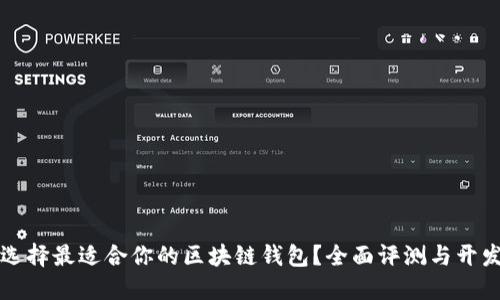 如何选择最适合你的区块链钱包？全面评测与开发指南