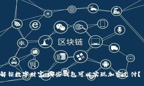 解锁数字财富：哪些钱包可以实现加密支付？ 