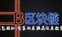 区块链钱包揭秘：它真的是骗局还是投资新机遇