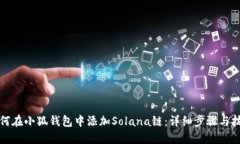 如何在小狐钱包中添加Solana链：详细步骤与技巧