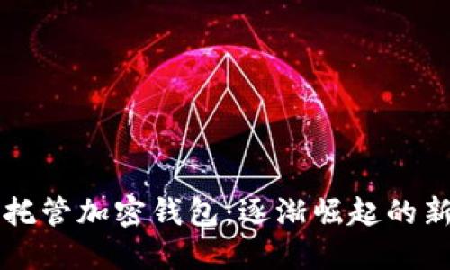 美国参议员如何自托管加密钱包：逐渐崛起的新趋势与安全性挑战