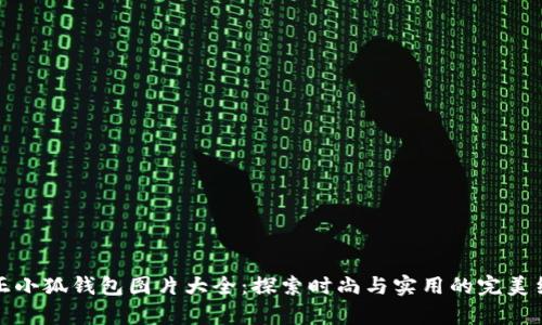 真正小狐钱包图片大全：探索时尚与实用的完美结合