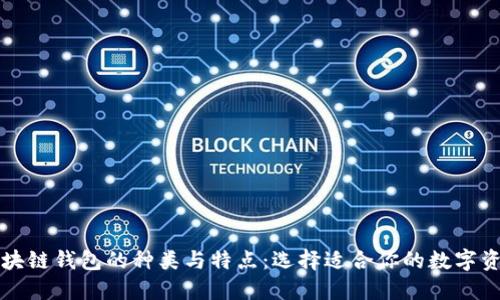 深入了解区块链钱包的种类与特点：选择适合你的数字资产管理工具