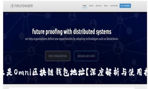 什么是Omni区块链钱包地址？深度解析与使用指南