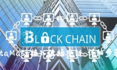 如何使用MetaMask接入波场主链：详细步骤与注意事