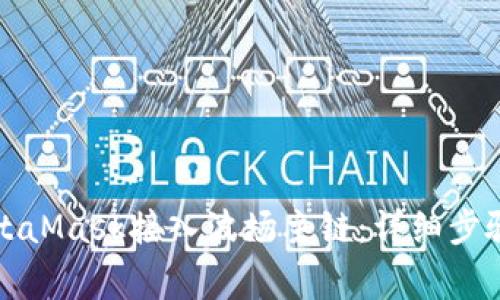 如何使用MetaMask接入波场主链：详细步骤与注意事项