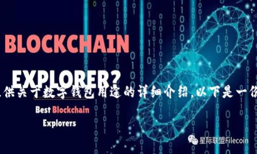 在这里，我无法展示图片，但我可以为你提供关于数字钱包用途的详细介绍。以下是一份关于数字钱包的用途和相关信息的文章。

数字钱包的多种用途：让你的生活更便捷