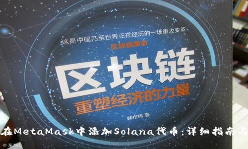 如何在MetaMask中添加Solana代币：详细指南与技巧