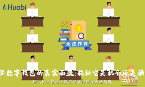 国际数字钱包的真实面貌：揭秘它是机会还是骗局？