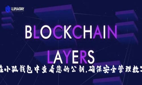 如何在小狐钱包中查看您的公钥，确保安全管理数字资产