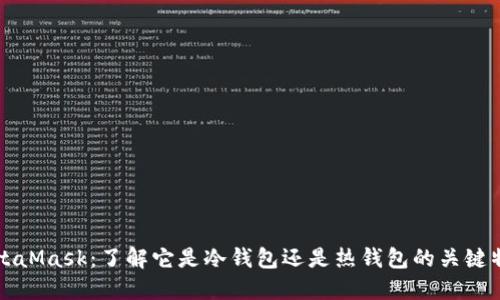 MetaMask：了解它是冷钱包还是热钱包的关键特点