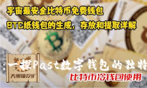 未来支付新方式：一探Past数字钱包的独特魅力与创新技术