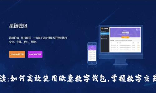 全面解读：如何高效使用欧意数字钱包，掌握数字交易新方式