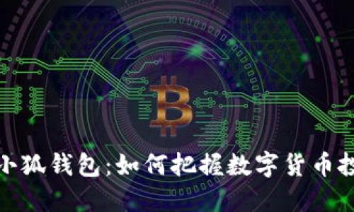 狗狗币与小狐钱包：如何把握数字货币投资新机遇