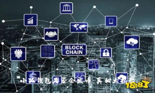 小狐钱包是否会发币：真相大揭秘