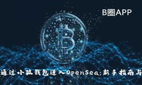 如何通过小狐钱包进入OpenSea：新手指南与技巧