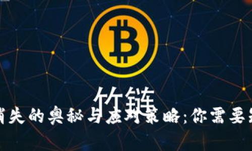 数字钱包消失的奥秘与应对策略：你需要知道的一切