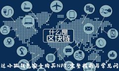   如何通过小狐钱包安全购买NFT：完整指南与常见