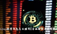 Topay数字钱包怎么赚钱？全面解析与实用技巧
