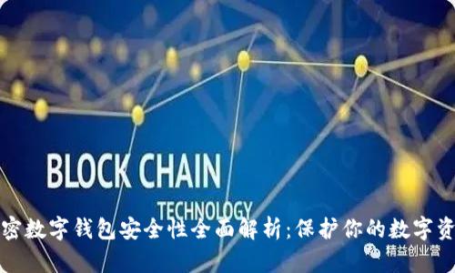 加密数字钱包安全性全面解析：保护你的数字资产