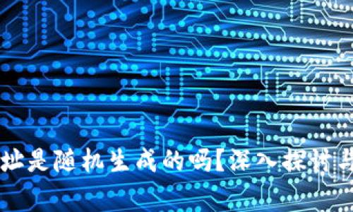 区块链钱包地址是随机生成的吗？深入探讨与常见问题解析