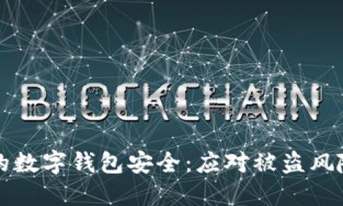 如何保护你的数字钱包安全：应对被盗风险的全面指南
