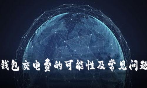 数字钱包交电费的可能性及常见问题分析