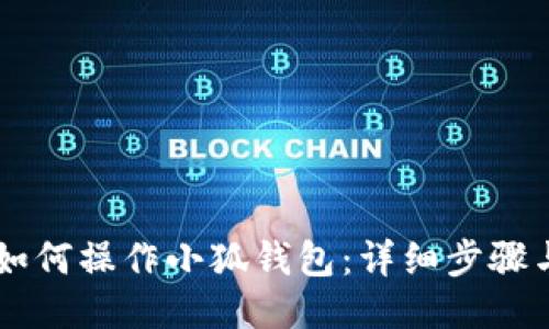 手机如何操作小狐钱包：详细步骤与指南